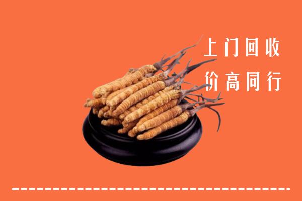 高价求购：泉州市鲤城回收散虫草