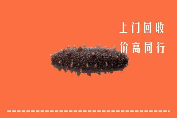 高价求购：泉州市鲤城回收海参