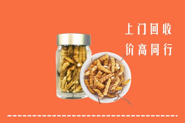 泉州市鲤城回收冬虫夏草