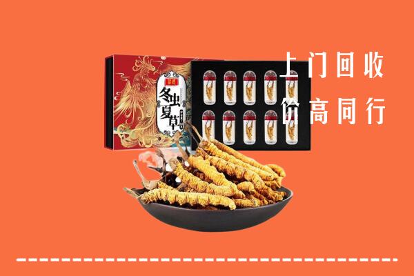 泉州市鲤城回收虫草